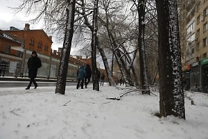 Зима не отступит: Россиянам рассказали, какую погоду стоит ждать в марте