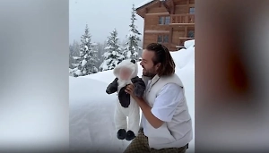 Суд Москвы заочно арестовал блогера Косенко, бросившего младенца в сугроб