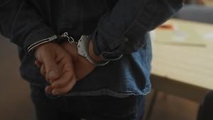 Интерпол помог МВД РФ задержать распространителя детского порно под Рязанью