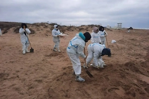 В РАН предупредили о последствиях вывоза грунта с побережья Чёрного моря