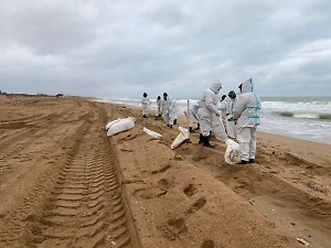 В Анапе шторм вынес на береговую полосу новые фрагменты мазута