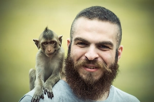 Роспотребнадзор не счёл вспышку оспы обезьян в Китае угрозой для России