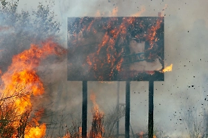 Число погибших от пожаров в Лос-Анджелесе возросло до 16 человек