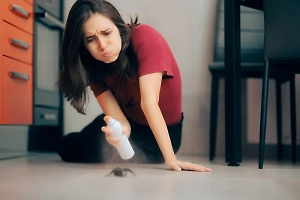 Как самостоятельно избавиться от тараканов в квартире или в частном доме: 10 простых советов