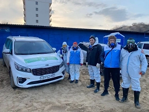 Волонтёр рассказала, как устраняют последствия разлива мазута на побережье Чёрного моря