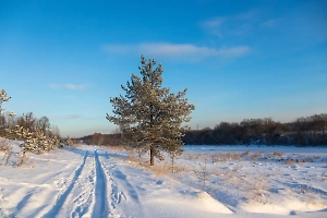 «Будет катастрофа»: Эксперт рассказал о последствиях возвращения морозов в Россию
