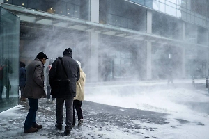 Ураган оставил без света более 200 населённых пунктов в российском регионе