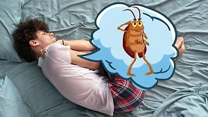 Рыжие, чёрные или большие прусаки: К чему снятся тараканы и какие есть толкования по сонникам