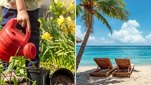 «Шри-Ланка, Дагестан и дача»: Life.ru выяснил, куда россияне поедут в отпуск этим летом