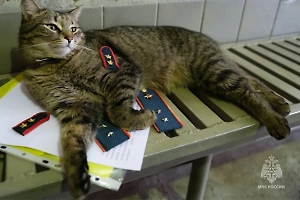 Кота-прапорщика Толика из пожарной части в Москве номинировали на премию