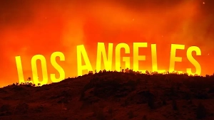Токсины, смертность, экология. Какие последствия ждут США из-за пожаров в Лос-Анджелесе
