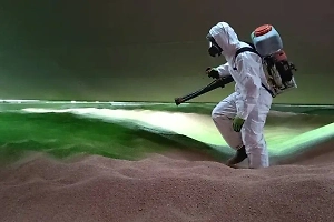 В России впервые окрасили экспортную пшеницу перед отправкой в Марокко