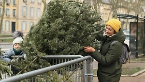 Когда убирать ёлку, чтобы разбогатеть, встретить любовь и наполнить дом счастьем