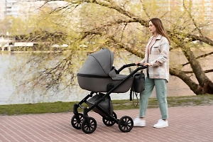 В России могут создать мам-шеринг