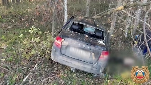 Выскочивший на дорогу лось погиб под колёсами «Гранты» и погубил водителя