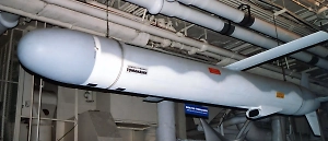 «‎К счастью, не дадут»: Партия Зеленского надеется на отказ в передаче «Томагавков»