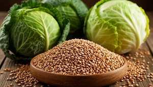 Гречка и капуста могут подорожать после октябрьских дождей. Life.ru выяснил насколько