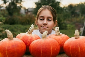 В России предложили заменить мрачный Хэллоуин на традиционный фестиваль урожая