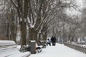 «Безжалостным морозам» быть? Синоптик рассказал, какой будет зима 2025-2026