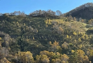 Камчатский романтик написал имя возлюбленной на горе. Власти порыв сердца не оценили