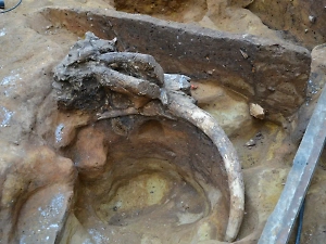 В Подмосковье археологи нашли клад с древними орудиями в черепе мамонта