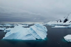 Канадские учёные сообщили, что повышение уровня моря затопит прибрежные города