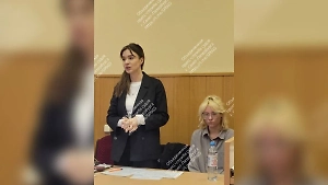 Певицу, исполнявшую в центре Петербурга песни иноагентов, арестовали на 13 суток