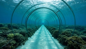 Подсчитана стоимость строительства подводного тоннеля между Россией и США