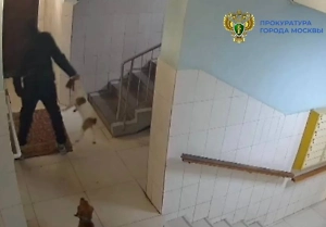 Москвичка швырнула собаку в лифт и жестоко избила ногами в живот