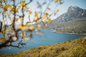 В Крыму заявили о планах и дальше изымать активы украинских олигархов