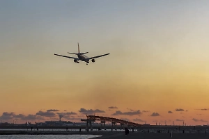 В Пензенской области ввели план Ковёр 