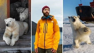 Заброшенную полярную станцию оккупировали белые медведи: Life.ru поговорил с автором вирусных фото с острова Колючин