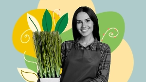 Включили отопление? Срочно уберите эти 7 растений с подоконника, а то они превратятся в гербарий