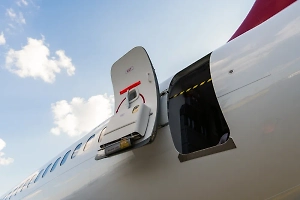 Два ребёнка выпали из пассажирского самолёта во время полёта и разбились насмерть