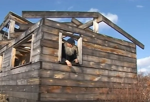 Москвичка продала квартиру и отдала мошенникам 17 млн, оставив без крова новых жильцов