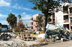 Более 100 россиян оказались в эпицентре урагана «Мелисса» на Ямайке