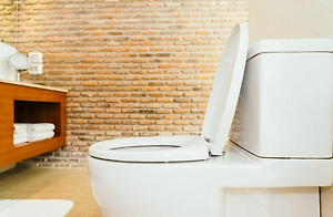 Россиян научат пользоваться туалетом после жалоб глав Подмосковья и Казани