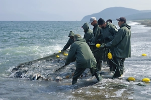 Норвегия бьёт тревогу из-за переговоров с Россией по тресковым квотам