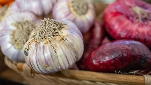 Мёд, лук и редька: какие продукты с московских ярмарок выходного дня помогут защититься от простуды