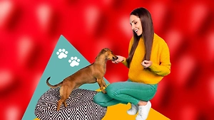 Это убьёт вашего питомца: какими 10 продуктами со стола нельзя кормить кошек и собак