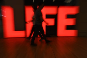 Новости Life.ru теперь доступны в «Потоке» Дзена