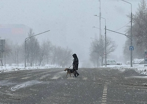 Мурманск парализован из-за метели с грозой, отменены рейсы, федеральные трассы перекрыты