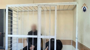 Депутата Приморья и двух его сообщников задержали за сбыт ртути