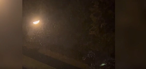 В Москве и Подмосковье ночью 15 ноября выпал первый снег