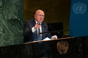 Небензя поспорил с замглавы МИД Украины в ООН о национальной принадлежности