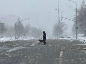 Жители Териберки накормили и отогрели застрявших в снежном плену туристов из Китая