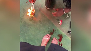 Ноги в кровь: Российская туристка пострадала от нападения пиявок в джунглях Шри-Ланки