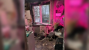 Школьница из Петербурга спланировала убийство матери в игре «Роблокс»