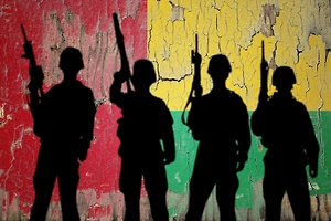 Задержанного президента Гвинеи-Бисау заподозрили в инсценировке госпереворота