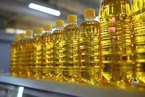 Роскачество проверило оливковое масло и нашло фальсификацию в половине образцов